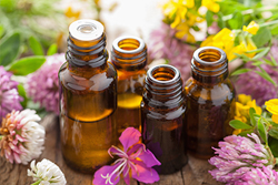 アロマ検定対策講座